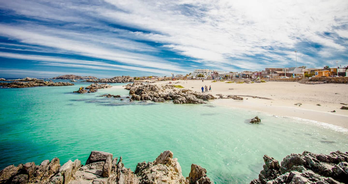 Gestión profesional